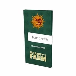 blue cheese.jpg