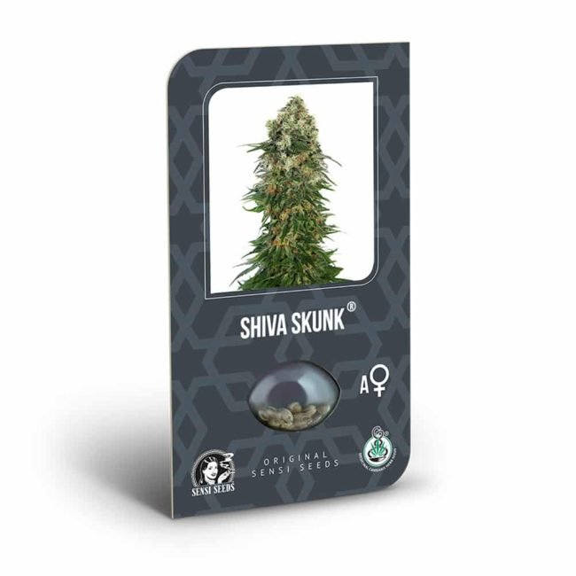 shiva skunk automatic seeds.jpg