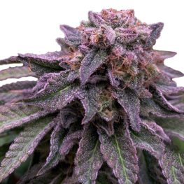 auto hulk og