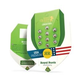 royal runtz auto